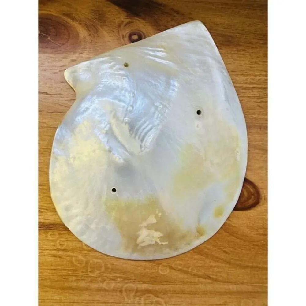 Vintage Large Genuine‎ Mother Of Pearl Sea Shell Caviar Dish Trinket Tray Plate